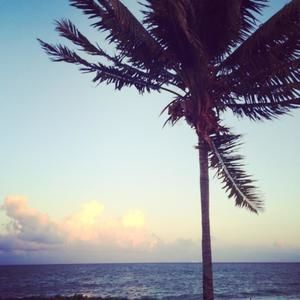 Meet your Posher, Carrie